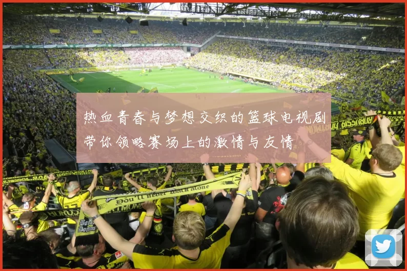 热血青春与梦想交织的篮球电视剧带你领略赛场上的激情与友情