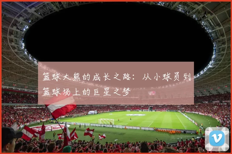 篮球大熊的成长之路：从小球员到篮球场上的巨星之梦