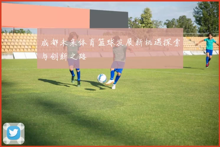 成都未来体育篮球发展新机遇探索与创新之路