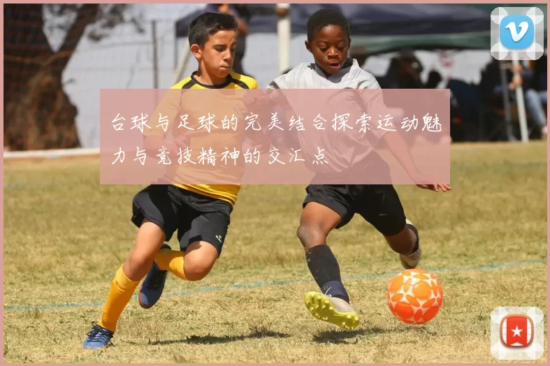 台球与足球的完美结合探索运动魅力与竞技精神的交汇点