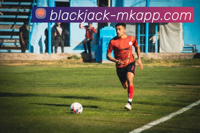 MK体育平台生态图