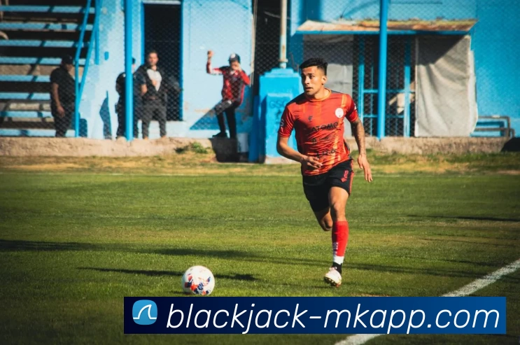 MK体育APP 封面图